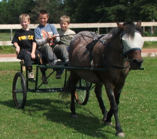 Aiden, Dylan and Logan driving Ella