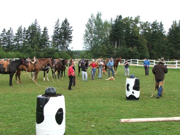 Ron Pyne Parelli Clinic