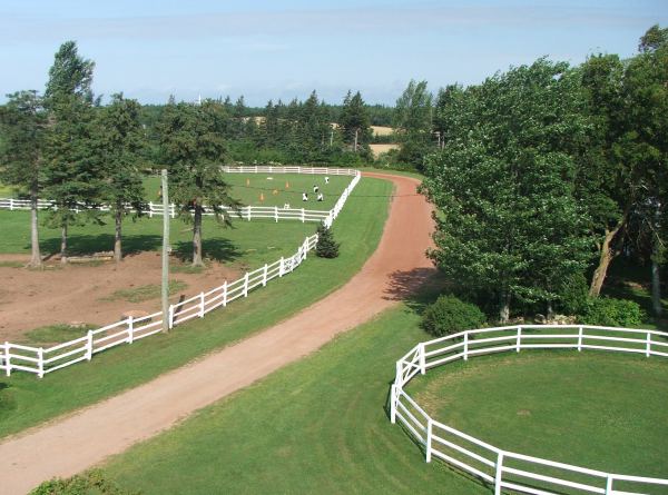 Roundpen and paddocks