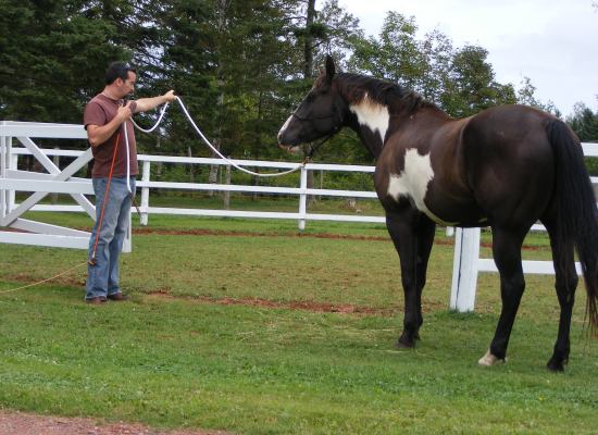 Mike and Dallas entering the round pen