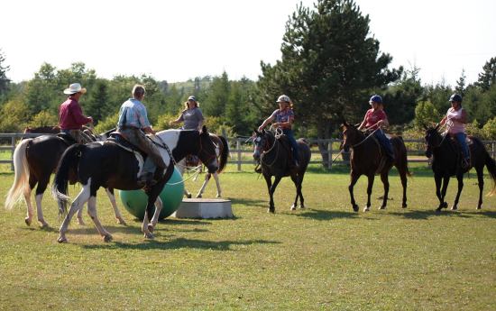 Playing Polo