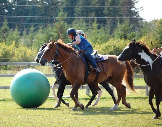 Playing Polo