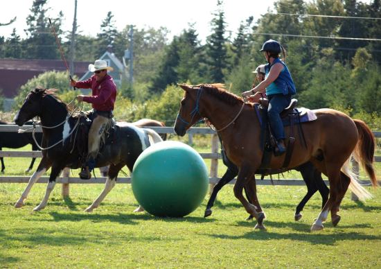 Playing Polo