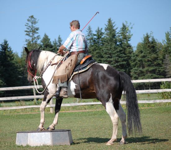 Ria and Knight
