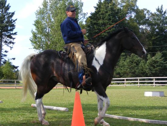 Ron & Rambler presenting their Spotlight