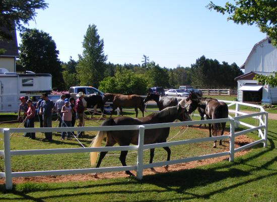 Round Pen Carousel